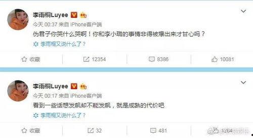 娱乐酱吃瓜考研,揭秘娱乐圈背后的考研风云